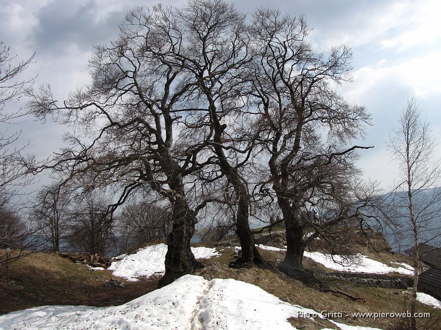 44 Ultima neve ai Tre Faggi.jpg